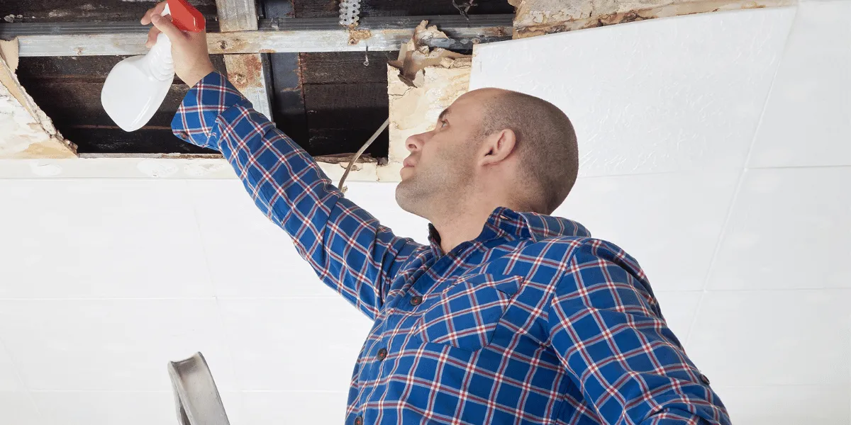 Certified mold prevention and hazardous air quality sanitization in Canada